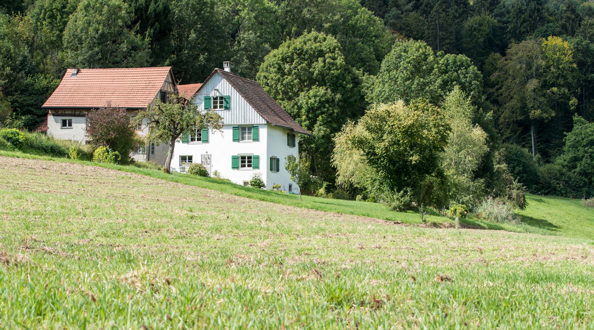 Ansicht Ost. Das Taunerhaus steht in der Zone für Landwirtschaft im kleinen Weiler Gmeiwisli am Nordhang der Stammheimerbergs oder Stammerbergs.